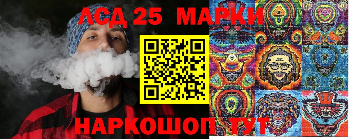 Псилоцибиновые грибы Новодвинск