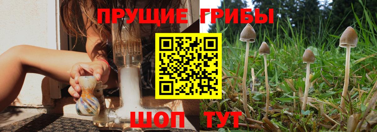 Галлюциногенные грибы Cubensis Новодвинск
